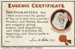 This Eugenics Certificate Shows the Public's Fear of Undesirable Hereditary Traits, courtesy Robert Bogdan Collection
