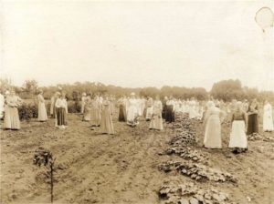 Female Patients Farming in the early 1900s