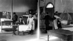 Patients Worked at Useful Tasks at Most Asylums, photo courtesy Buffalo Psychiatric Center