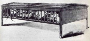 The Utica Crib Was a Notorious Restraining Device