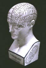 Phrenology Bust Provided a Three-Dimensional Reference Guide